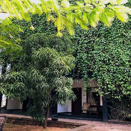 Bed and Breakfast Dambulla Rock Arch Esterno foto