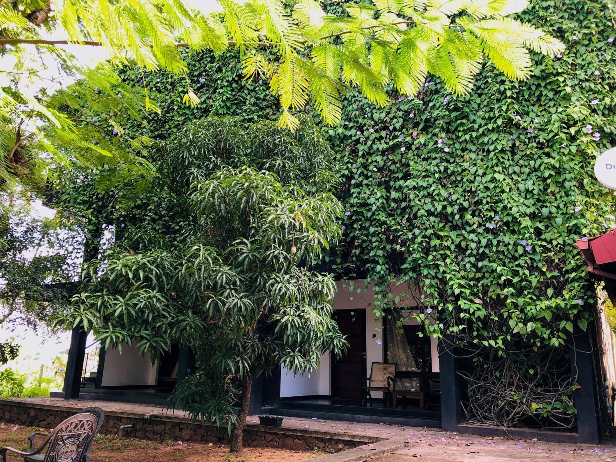 Bed and Breakfast Dambulla Rock Arch Esterno foto