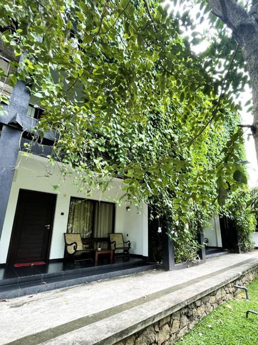 Bed and Breakfast Dambulla Rock Arch Esterno foto