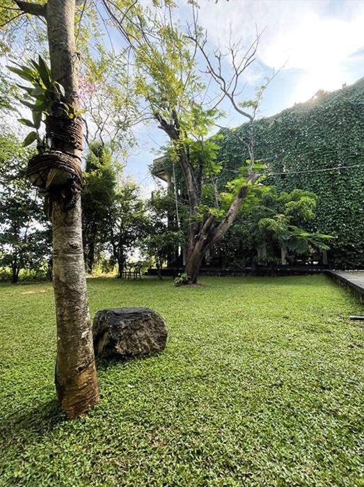Bed and Breakfast Dambulla Rock Arch Esterno foto